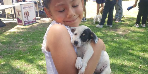 SLP impulsa el cuidado de los animales con bienestar perruno