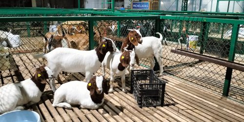 Apoyos históricos para el campo potosino en la Fenapo