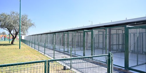 Diputados Federales y Senadores  avalan el compromiso de Ricardo Gallardo