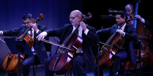 El Ceart celebra 17 años con concierto gratuito de la Camerata