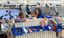 Mujeres representan el 51% de la población en SLP.