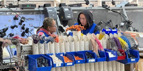 Mujeres representan el 51% de la población en SLP.