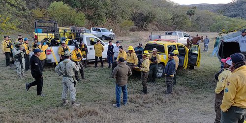 Combaten fuerte incendio forestal en Ciudad del Maíz