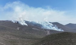 Avanza control de incendio forestal en Ciudad del Maíz; reportan 80% de control