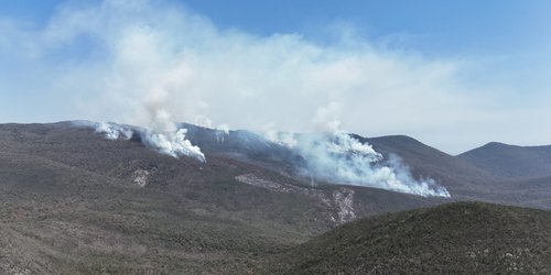 Avanza control de incendio forestal en Ciudad del Maíz; reportan 80% de control