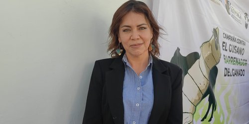 Atraso de recursos limita acciones sanitarias, pero prevén mayor presupuesto al sector pecuario