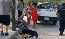 Indignación en Ciudad Valles por muerte de perro tras ataque a menores