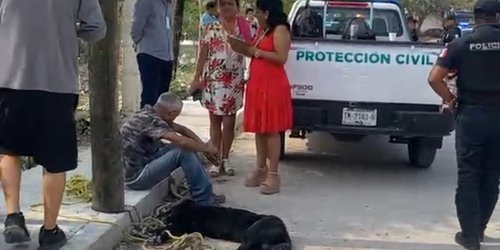 Indignación en Ciudad Valles por muerte de perro tras ataque a menores