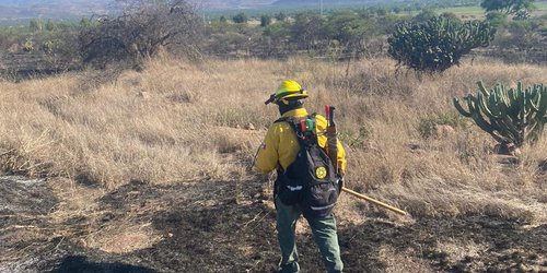 Avanza control de incendios forestales en Cárdenas y Santa María del Río