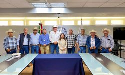 Ganaderos buscan frenar robo de ganado; SEDARH gestiona apoyo con la Fiscalía