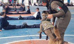 Lomitos de la Guardia Civil Estatal acercan valores y prevención a la niñez