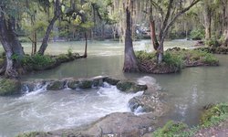 Mantienen vigilancia en ríos de la Huasteca por aumento en niveles
