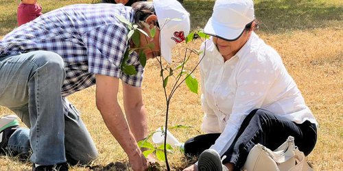 Adultos mayores dejan huella verde en el Parque Tangamanga I