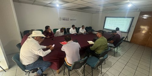 Gobierno del Estado activa operativo contra la langosta en la Zona Media