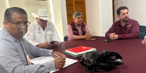 Refuerzan operativo contra langosta en cuatro municipios de la Zona Media