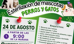 Lagunillas realizará campaña de esterilización gratuita para perros y gatos
