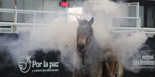 Continúa la eliminatoria AA del Nacional Charro en la Arena Potosí