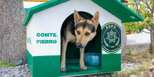 Construyen refugio para el “comandante Fierro”