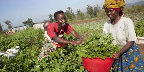 Participará Agricultura en reunión ministerial sobre seguridad alimentaria global de la ONU