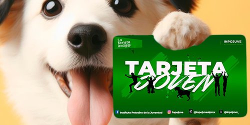 Gobierno del Estado amplía apoyo a la juventud y sus mascotas