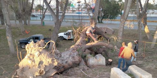 Estará cerrado hoy martes parque Tangamanga