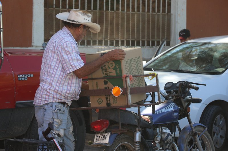 beneficiarios_de_apoyos_alimentarios_slp_mirioverde.jpeg