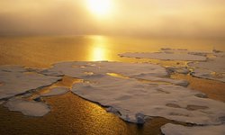 ONU alerta sobre incremento de temperatura en el mundo