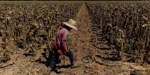 Autoridades estatales refuerzan prevención ante ola de calor extrema