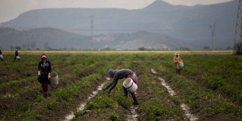 Proponen crear Ley de Fomento al Desarrollo Rural Sustentable del Estado