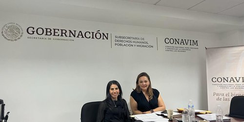 CEEAV e IMES ejercerán presupuesto federal de la CONAVIM: SGG