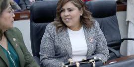 Mayor certeza y seguridad jurídica a la integración del Consejo Hídrico Estatal: Dip. Diana Ruelas