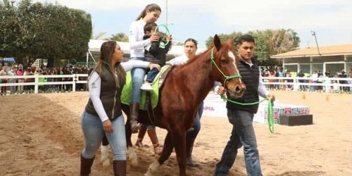 Con Centro Estatal de equinoterapia despegó la atención a personas con discapacidad