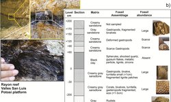 Investigadores de la UASLP documentan en Rayón evidencia de asteroide que provocó extinción masiva hace 66 millones de años