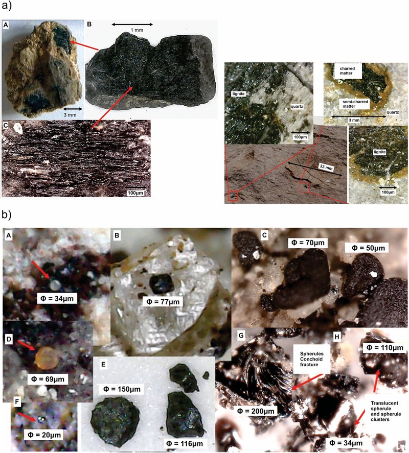 evidencia_en_rayon_de_asteroide_mirioverde.jpeg