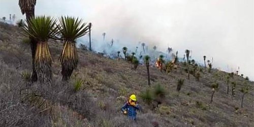 Controlado al 50 por ciento incendio en El Milagro, Guadalcázar