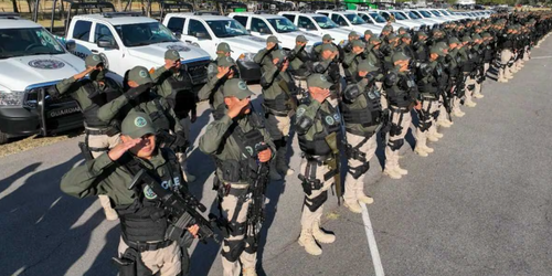 Proponen obligar por ley a policías de SLP a operar con perspectiva de género
