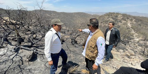 Controlado incendio en Sierra de San Miguelito