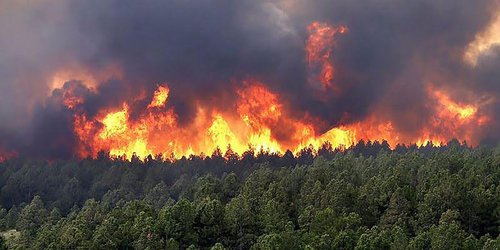 PC en vigilancia permanente durante temporada de incendios