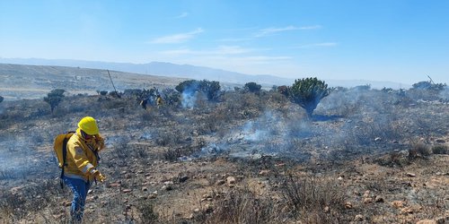 El Estado en vigilancia permanente por temporada de incendios forestales