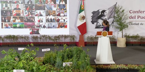 San Luis Potosí se suma a la Jornada Nacional de Reforestación del próximo 9 de agosto