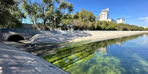 Coordinan esfuerzos para resolver contaminación de lago del parque Tangamanga