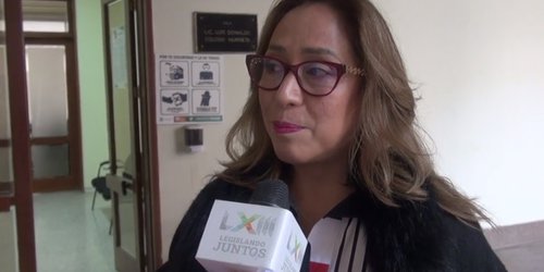 Necesario reforzar mecanismos de vigilancia sobre la carretera 57: diputada Liliana Flores