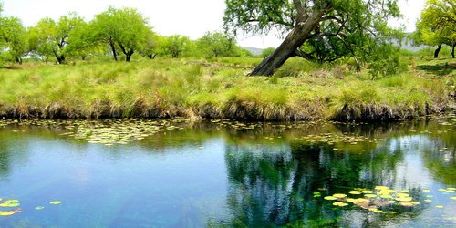 Proponen certificar el manantial Los Peroles como sitio de conservación