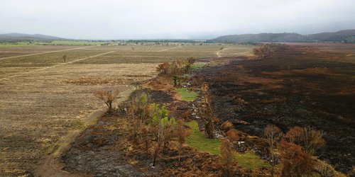 Llaman a productores agrícolas a no realizar quemas