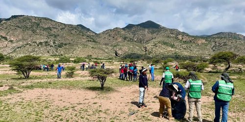 Con 1 millón de plantas, Estado reforestará la Sierra de San Miguelito