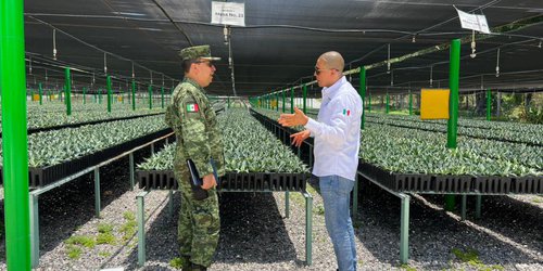 Firma convenio SEGAM y SEDENA para reforestar SLP