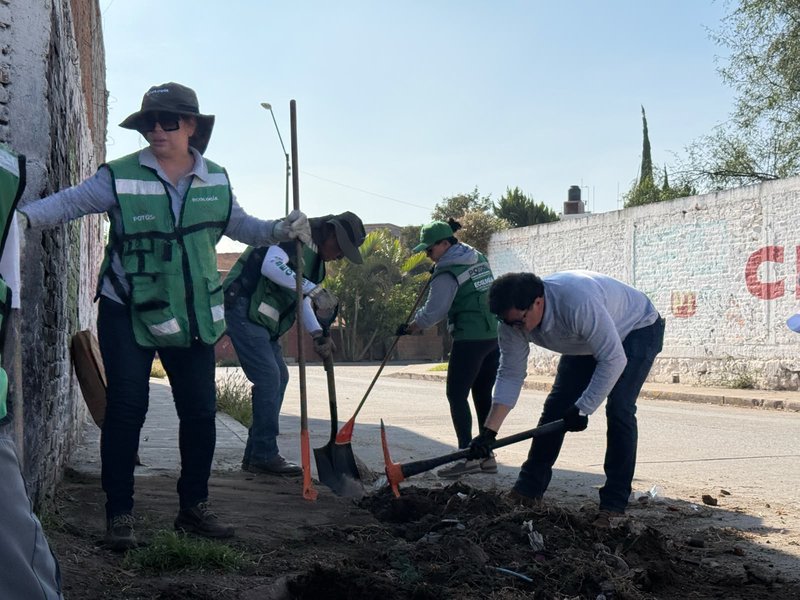 reforestacion_urbana_villa_de_arriaga.jpeg