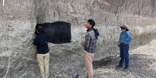Inician el rescate de restos de mamut en Cerritos