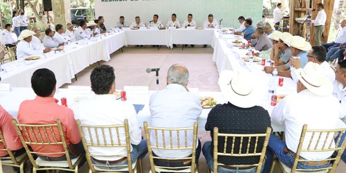 Ajuste al precio de la caña beneficiaría a miles de familias de la Huasteca potosina