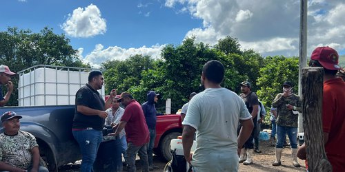 SEDARH y agricultores combaten plaga de lagosta en Santa Catarina y Lagunillas